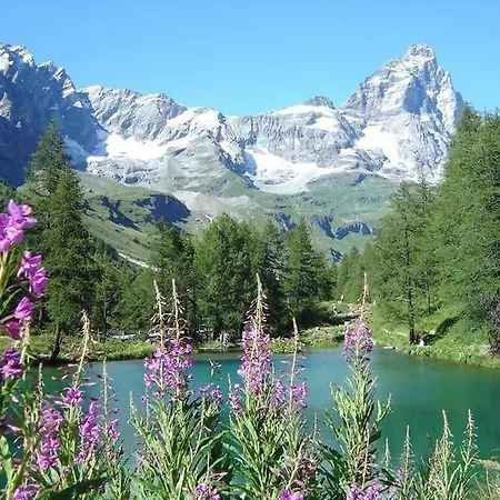 Sweet Chalet